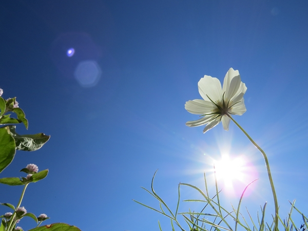 画像 084.ca10.jpg