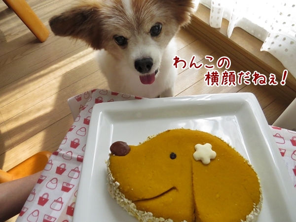 画像 084.cake.jpg