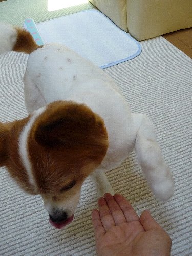 画像 084.pana.21.jpg