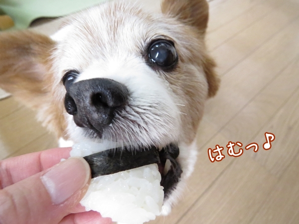 画像 085.ca11.jpg