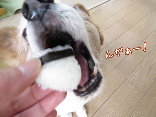 画像 086.ca11.jpg