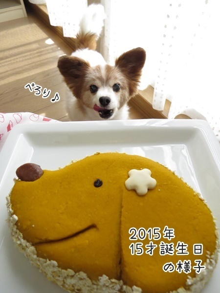 画像 087.bald.jpg