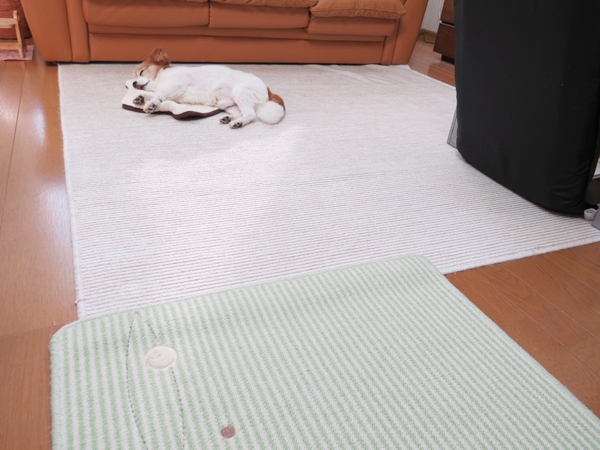 画像 087.ca6.jpg