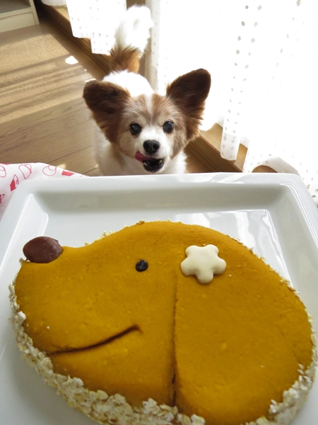 画像 087.cake.jpg