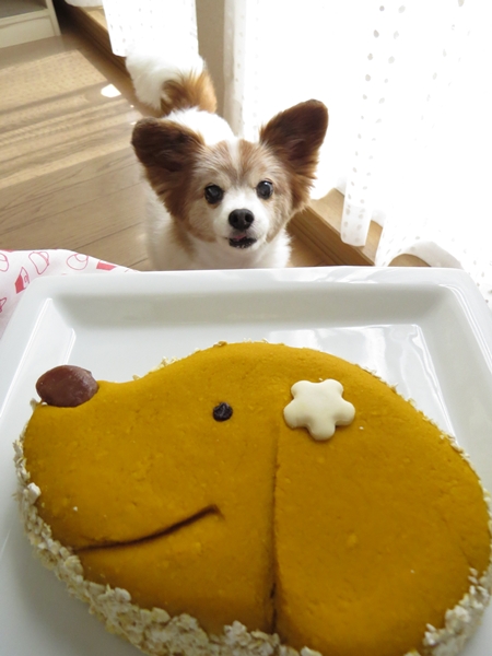 画像 088.cake.jpg