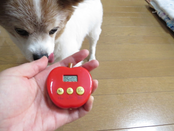 画像 089.ca11.jpg