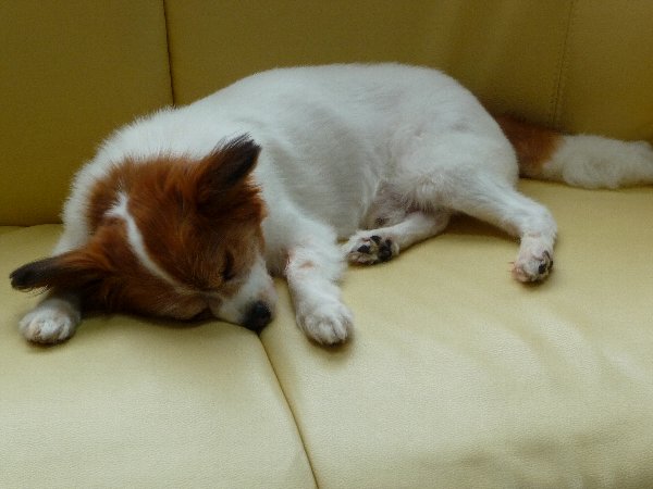 画像 089.pana13.jpg