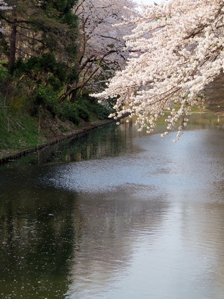 画像 089.sakutabi.jpg