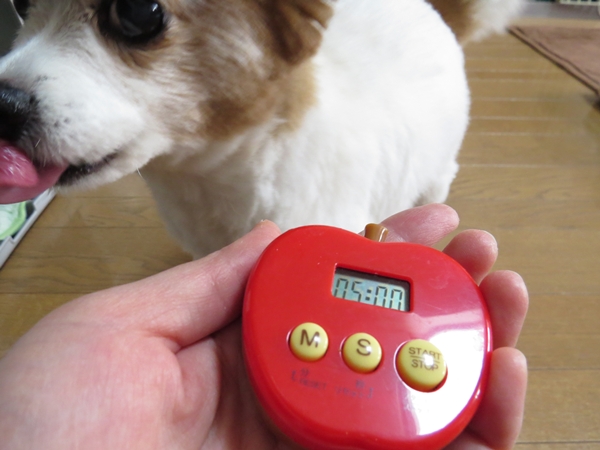 画像 090.ca11.jpg