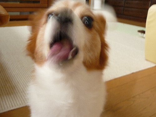 画像 090.pana.22.jpg