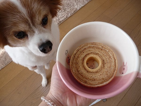 画像 090.pana18.jpg
