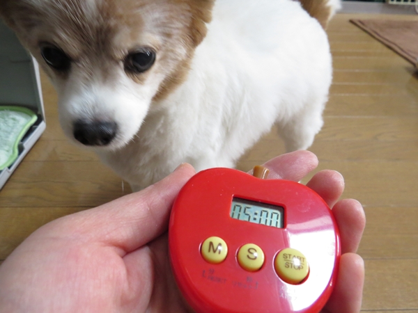 画像 091.ca11.jpg