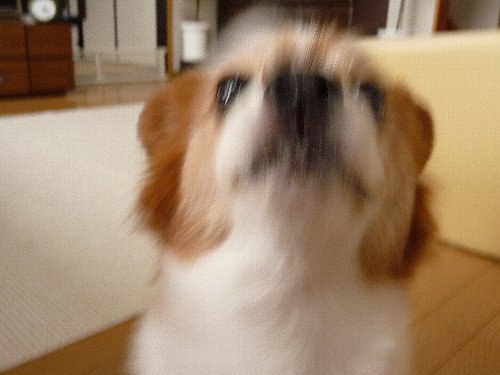 画像 093.pana.22.jpg