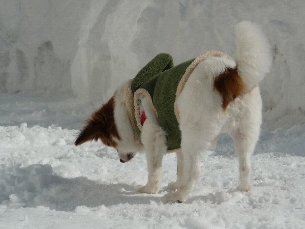 画像 094.pana17.jpg