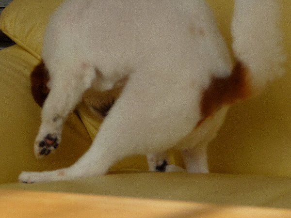 画像 094.pana24.jpg