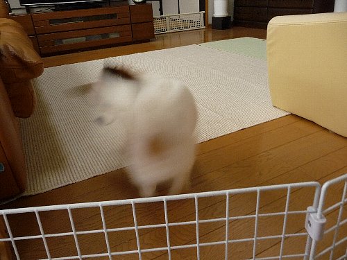 画像 095.pana.22.jpg