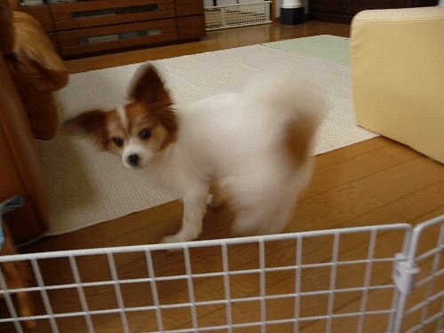画像 096.pana.22.jpg