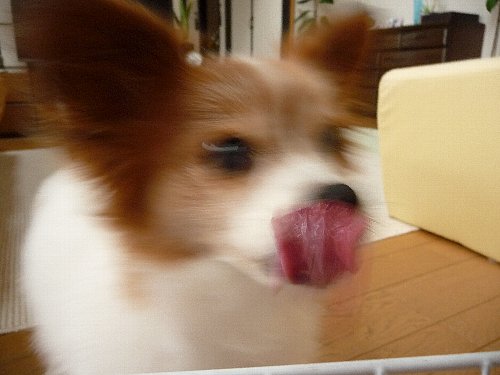 画像 097.pana.22.jpg