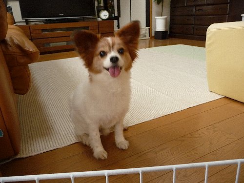 画像 098.pana.22.jpg