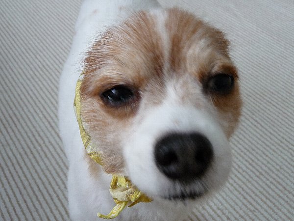 画像 099.pana.21.jpg