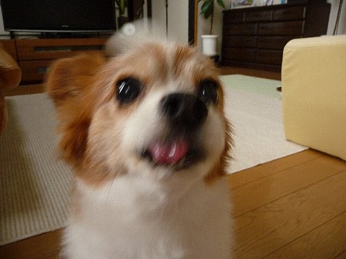 画像 099.pana.22.jpg