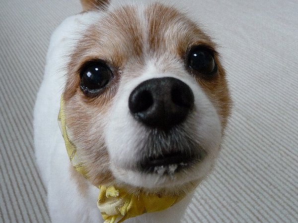 画像 100.pana.21.jpg