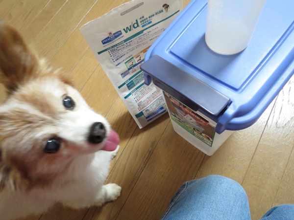 画像 102.ca9.jpg