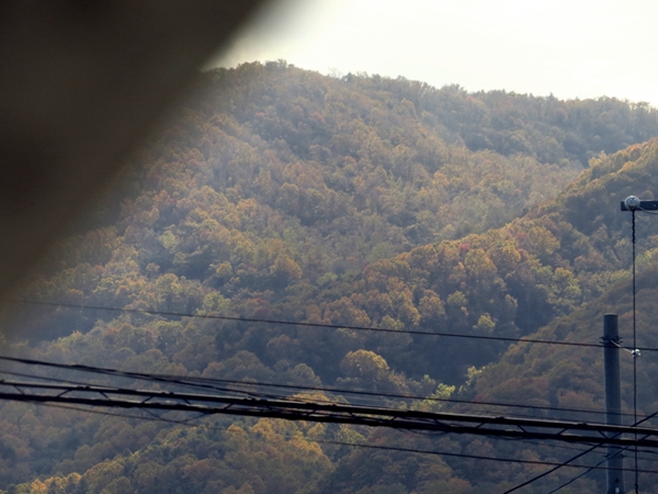 画像 103.ca10.jpg