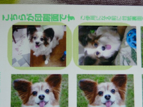 画像 107.pana13.jpg