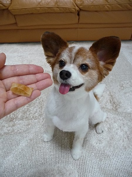 画像 108.pana27.jpg
