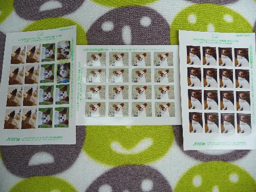 画像 109.pana13.jpg
