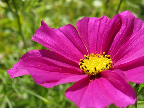 画像 115.ca10.jpg