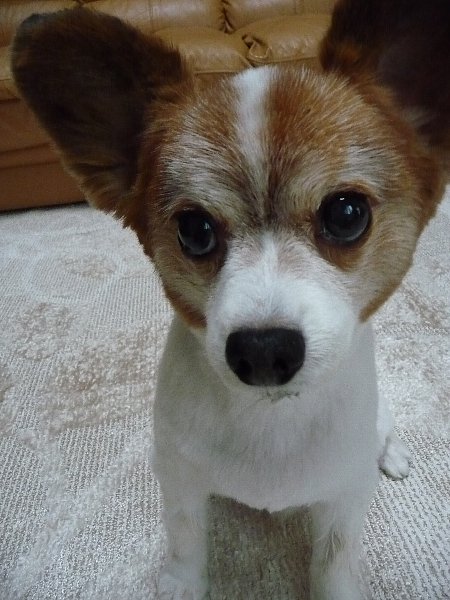 画像 116.pana27.jpg