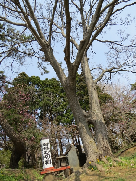 画像 121.sakutabi.jpg