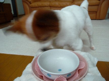 画像 127.pana13.jpg