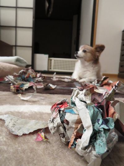 画像 128.ca12.jpg