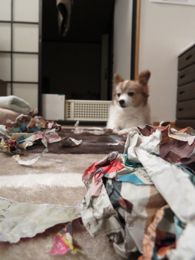 画像 134.ca12.jpg