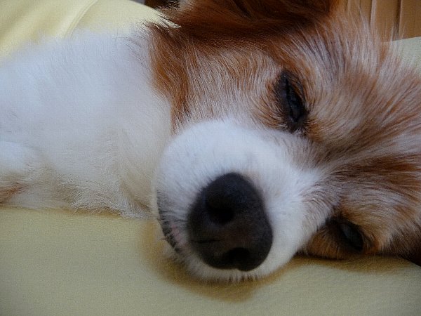 画像 135.pana24.jpg
