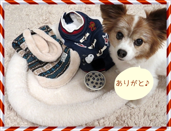 画像 136.ca3.jpg
