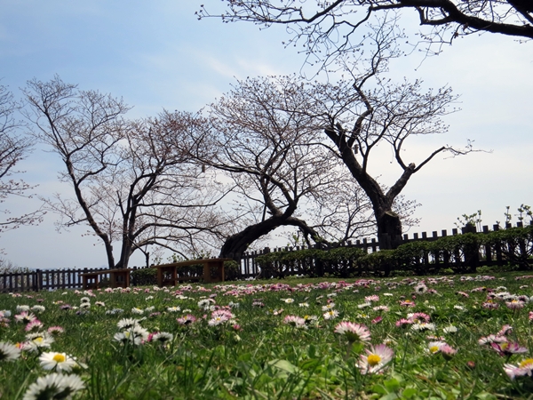 画像 136.sakutabi.jpg