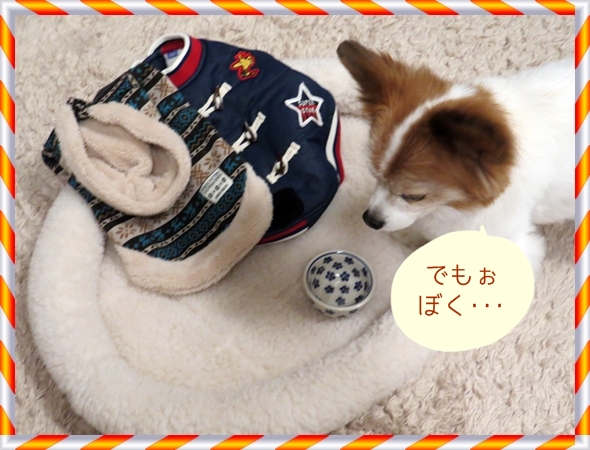 画像 137.ca3.jpg