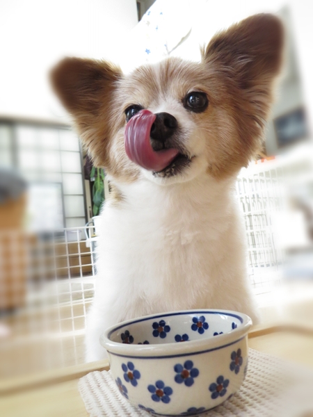 画像 137.ca6.jpg