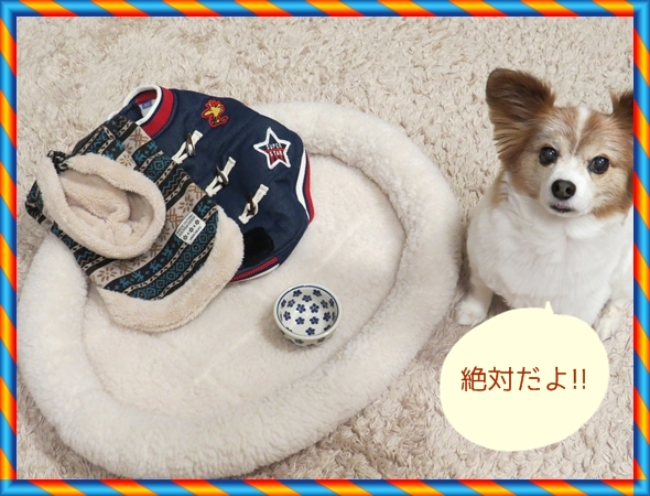 画像 139.ca3.jpg