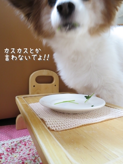 画像 139.ca5.jpg