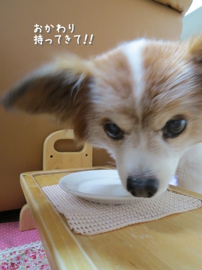 画像 141.ca5.jpg