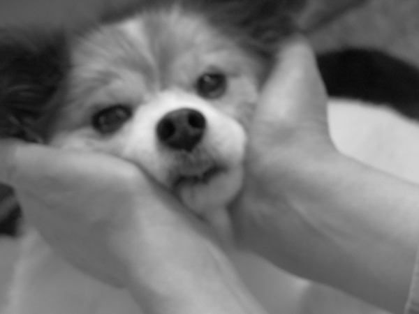 画像 147.ca3.jpg
