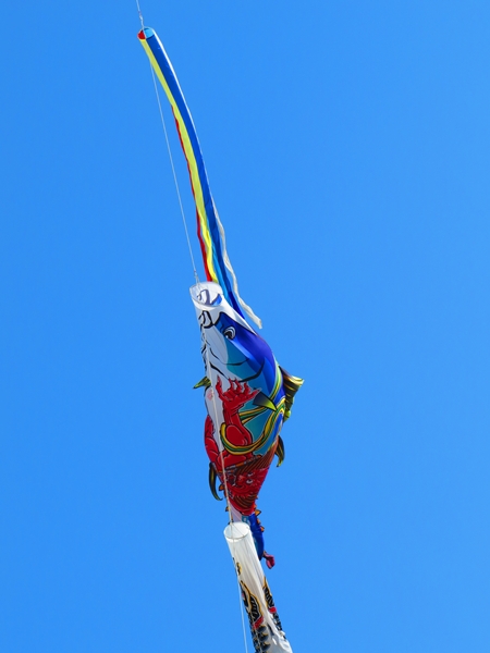 画像 156.sakutabi.jpg