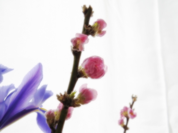 画像 167.ca7.jpg