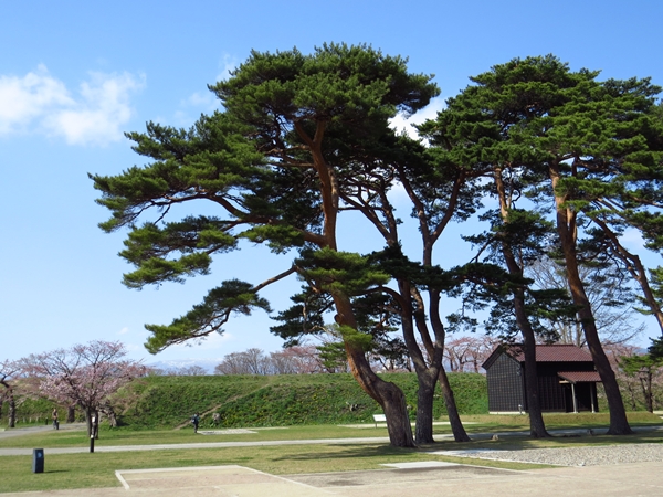 画像 169.sakutabi.jpg