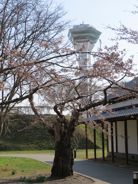 画像 171.sakutabi.jpg